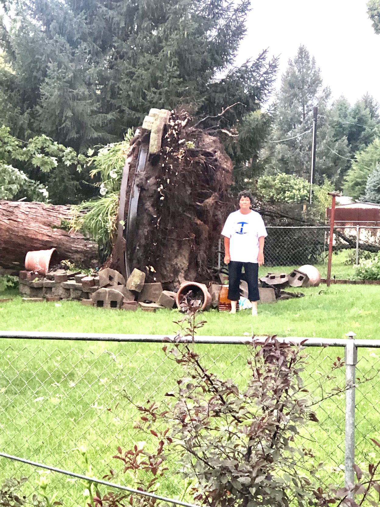 Uprooted